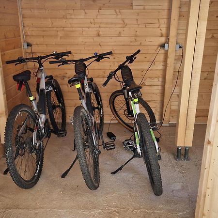 Ski-Bike-Apartment Bayerwald Lohberg Buitenkant foto