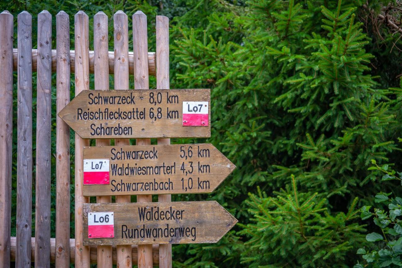 Ski-Bike-Apartment Bayerwald Lohberg Buitenkant foto
